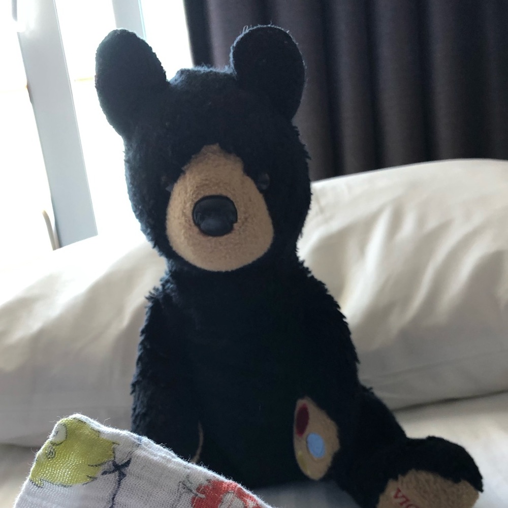 Meet your Posher, Ann